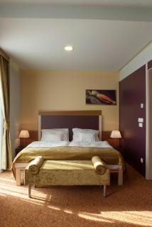 Szent Gellért Hotel - Székesfehérvár - 2
