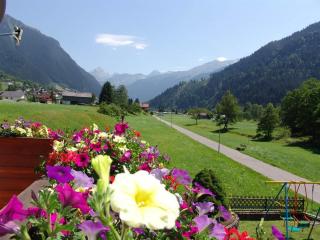 Ferienwohnung Anita - Sankt Gallenkirch - 3