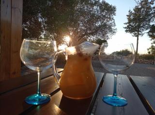 Sa Vinya Casa de Campo - 7