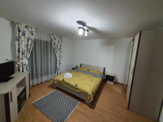 Casa Alma - Borşa - 7
