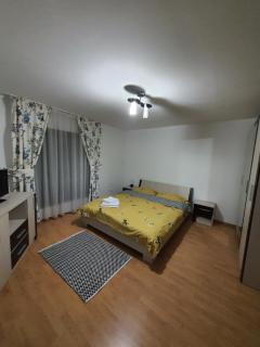 Casa Alma - Borşa - 6
