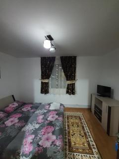 Casa Alma - Borşa - 4