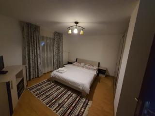 Casa Alma - Borşa - 2