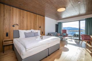 Erlebachova Bouda, hotel - Resort Svatý František - Špindlerův Mlýn - 5