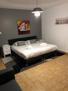 Appartement LOGIS DU CHATEAU DES MARAIS - pour 2 à 3 PERSONNES - 0