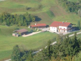 Ferienwohnung Feichtlgütl - Marktschellenberg - 5