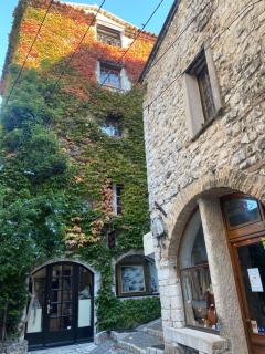 Maison pittorresque St Paul de Vence - Saint-Paul-de-Vence - 5