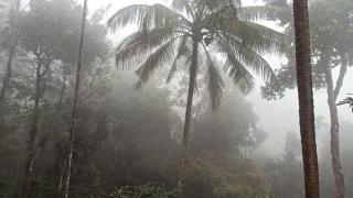 Cascade Holiday Villa - Padinjarathara - 6