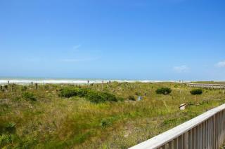 Sandfiddler - Atlantic Beach - 7