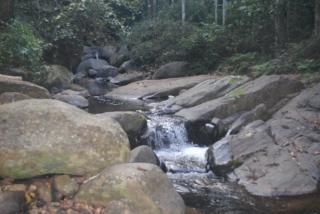 Cascade Holiday Villa - Padinjarathara - 2