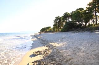 Apartment 6 people 150 m from the beach - Ghisonaccia - 5
