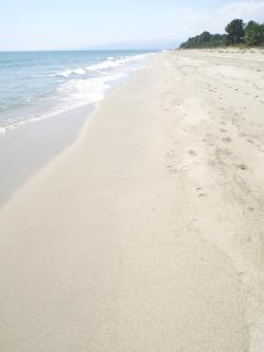 Marina Corsa Residence Three rooms apartment 150 m from the beach - Ghisonaccia - 4