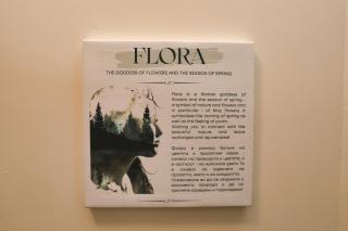 Bansko Vibes Apartments - Flora Boutique - 6