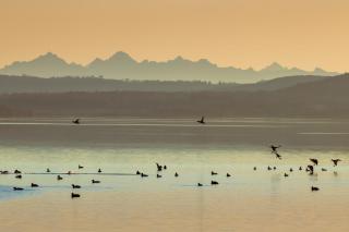 Wohnen im Herzen von Dießen Ihr Zuhause am Ammersee - 9