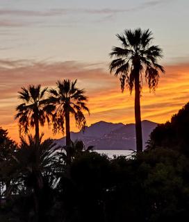 Sea Side apartment - Cannes - 6