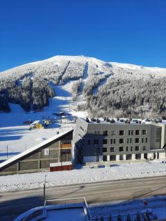 The Snow Crib Bjelasnica Apt - Bjelašnica - 0