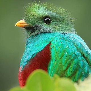 Cabinas El Quetzal - San Gerardo de Dota - 1