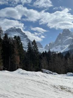 Dolomiti House - Pinzolo - 6