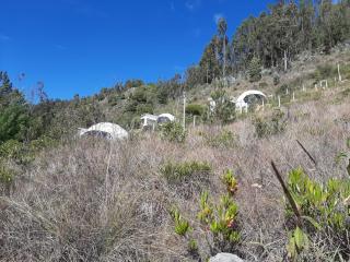 Glamping NIDO VERDE - Iza - 6