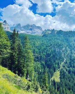 Dolomiti House - Pinzolo - 2