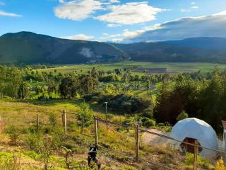 Glamping NIDO VERDE - Iza - 7
