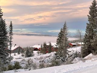 Ski and Bike-In and Out - Hafjell - 7