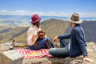 Pet-Friendly Blue Mountains Cottage with Indoor Fireplace - Mount Victoria - 5