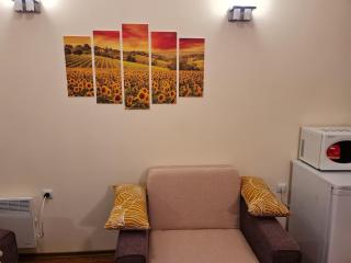 Bansko Vibes Apartments - Vesta Boutique - Bansko - 3