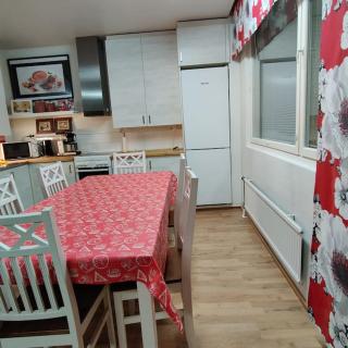 Nilsiä city, Tahko, 80 m2 - Tahkovuori - 9