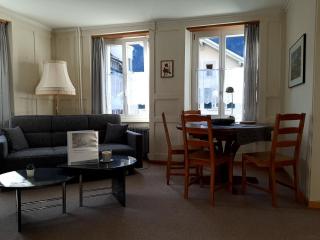 Ferienwohnung Rothorn Meiringen - Meiringen - 7