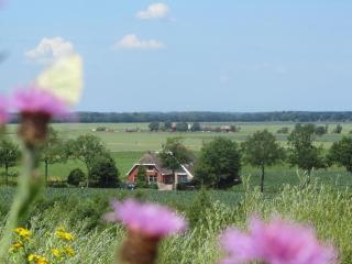 Veendijkhoeve - Oosterwolde - 1