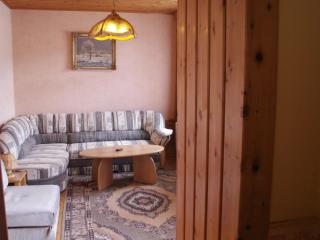 Hotel Lesní dům - Janské Lázně - 9