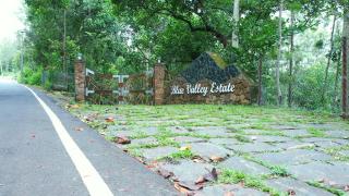 Blue Valley Estate-12 Acre Forest-Silver Oak-Villa - Yercaud - 4