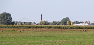 Agroturystyka Żuławiaczek - Nowy Dwór Gdański - 3