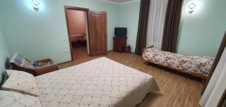 Villa Ortus - Novoselitsa - 7