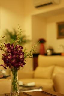 Sky Gem Hotel - Ben Thanh - Ho-Chi-Minh-Stadt - 7