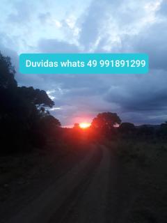 Pousada Sitio Bella Vista - 8