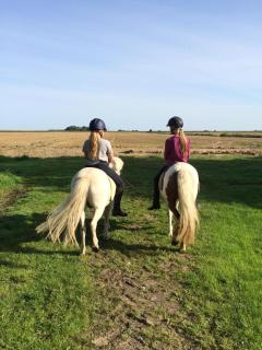 Tetenshof für Pferdeliebhaber - 7