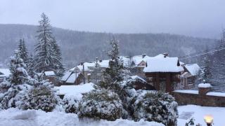 Shovkova Kositsya - 5