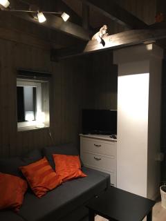 Voss- Oppheim suite private cozy cabin - Vossestrand - 3