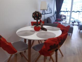 Apartamenty pod Dębowcem Apartament 44 Rowerek - Bielsko-Biała - 4