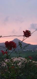 Villa Bambou - Le Vauclin - 3