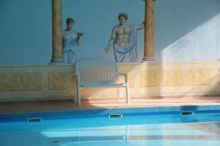 Exklusives Ferienhaus mit Schwimmbad und Sauna - Grömitz - 3