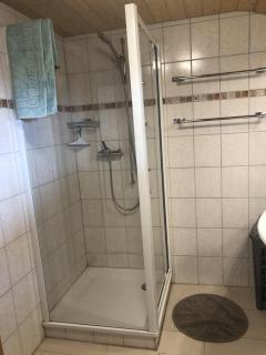 Distel - Ritzingen - 7