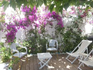 Les galets bleus de Calvi - Calvi - 8