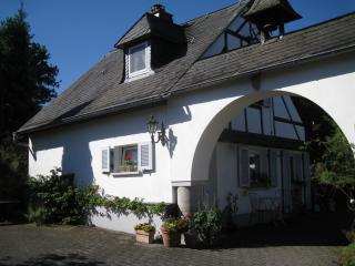 Romantikmühle Heartlandranch - Krummenau - 6