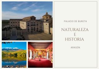 Casa Rural Palacio de Bureta - Bureta - 4