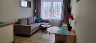 Apartament Świętoszów - Świętoszów - 8