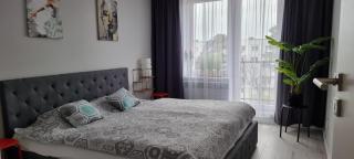 Apartament Świętoszów - Świętoszów - 9