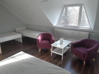 Sára Apartman Parádfürdő - Parád - 8
